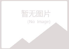 夏河县新波能源有限公司